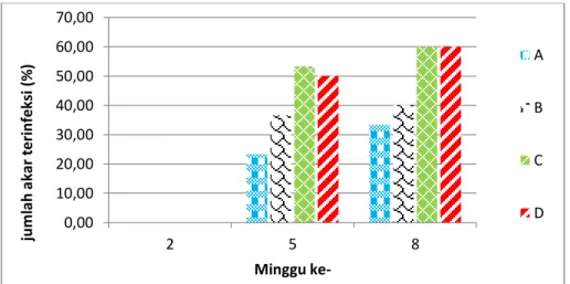 Gambar  5.  Persentase  infeksi  Mikoriza  pada  akar  padi  Segreng  Handayani  yang  diinokulasi  Rhizobacteri  indegenous  Merapi  dengan  berbagai  perlakuan kombinasi NPK