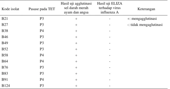 Tabel 2. Hasil isolasi dan identifikasi virus terhadap influenza A 
