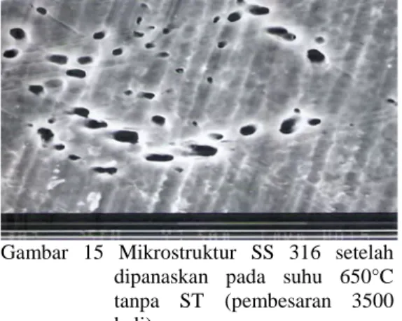 Gambar  15  Mikrostruktur  SS  316  setelah  dipanaskan  pada  suhu  650°C  tanpa  ST  (pembesaran  3500  kali)