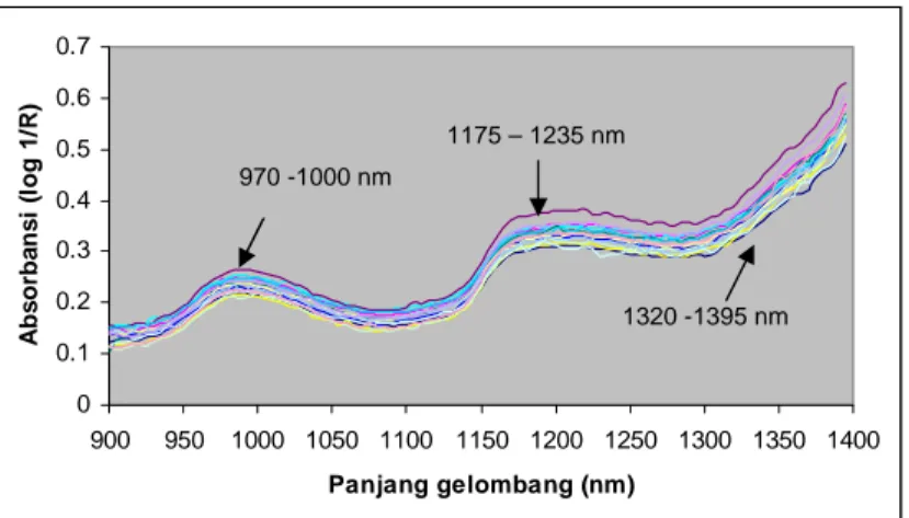 Gambar 7. Grafik absorbsi NIR pada beberapa sampel pepaya 