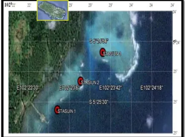 Gambar 1. Peta lokasi penelitian (Sumber: google earth). 