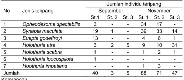 Tabel 1. Jumlah individu teripang yang ditemukan pada setiap stasiun di perairan  Desa Kahyapu pulau Enggano