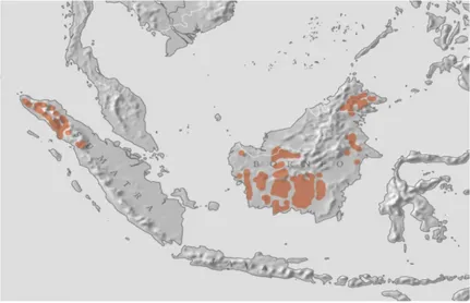 Gambar 1. Distribusi orangutan (by Perry van duijhooven).