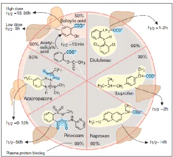 Gambar 5. Waktu paruh, struktur kimia, dan lokasi metabolisme ibuprofen  (Hendradiana et al., 2006)