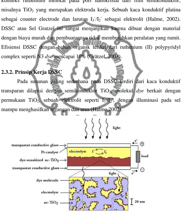 Gambar 2.5. Struktur dan komponen DSSC (Halme, 2002) 