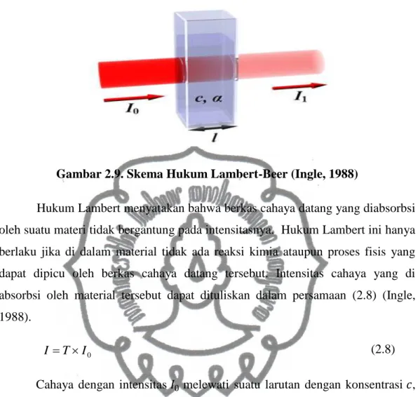Gambar 2.9. Skema Hukum Lambert-Beer (Ingle, 1988) 