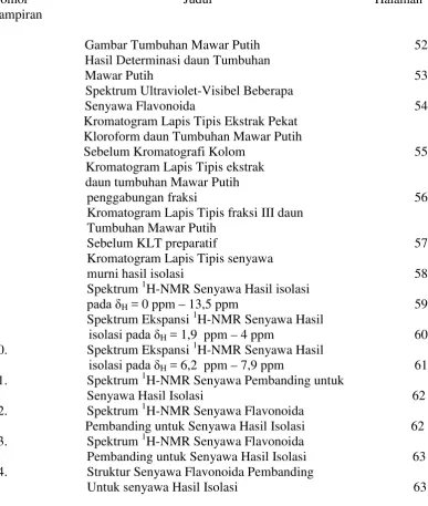 Gambar Tumbuhan Mawar Putih          