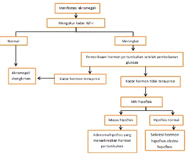 Gambar 3. Algoritma diagnosis akromegali2,3 