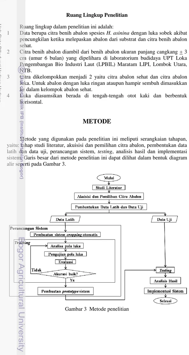 Gambar 3  Metode penelitian 