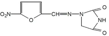 Gambar 2. Struktur kimia Nitrofurantoin.4 