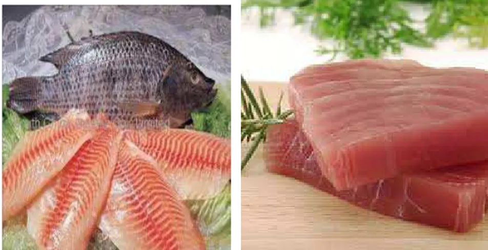 Gambar 3. Filet Ikan Tilapia dan Filet Ikan Tuna 