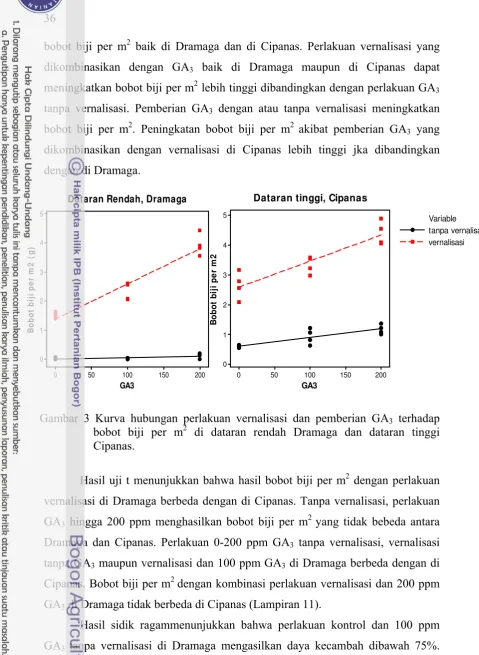 Gambar 3 Kurva hubungan perlakuan vernalisasi dan pemberian GA3 terhadap bobot biji per m2 di dataran rendah Dramaga dan dataran tinggi 