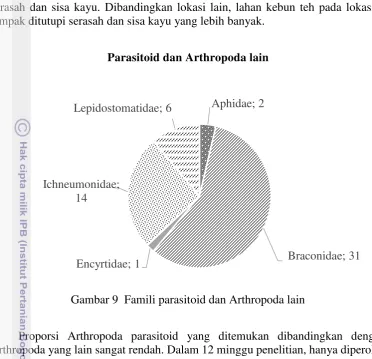 Gambar 9  Famili parasitoid dan Arthropoda lain 