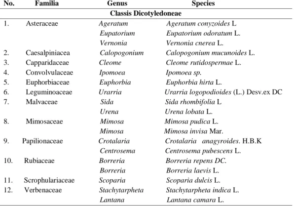 Tabel  2.  Daftar  Species  Tumbuhan  Gulma  Berdaun  Lebar  Berkhasiat  Obat  yang  Terdapat    pada  Kebun  Ubi  di  Masyarakat  Kecamatan  Moncongloe  Kabupaten Maros  