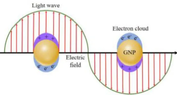 Gambar 2.9 Interaksi nanopartikel emas saat dikenai gelombang  elektromagnetik[28] 