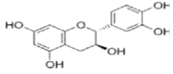 Tabel 1.Konsentrasi katekin,  epikatekin, asam kafein dalam  gambir  Gambir  extract      Catechin (µg/ml)  Epicatechin (µg/ml)    Caffeic acid  (µg/ml)  GC  104.5  0.80  0.99  GU  101.2  0.62  -  GRm  99.4  0.49  0.98  GRg  108  0.74  - 