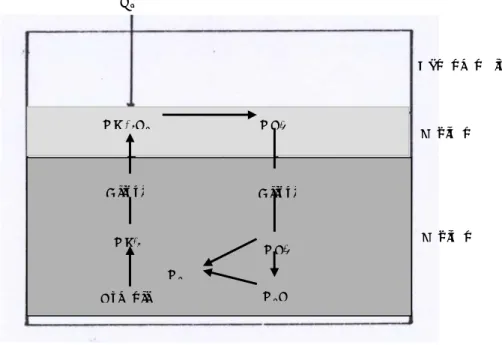Gambar 8. Proses-proses yang terjadi pada waktu konversi nitrogen organik  menjadi nitrogen elemen di dalam tanah yang tergenang dan  endapan (Patrick an Reddy, 1978) 