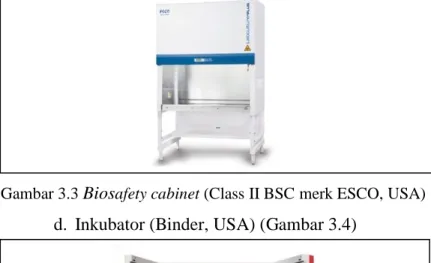 Gambar 3.3  Bios afety cabinet (Class II BSC merk ESCO, USA) d.  Inkubator (Binder, USA) (Gambar 3.4) 