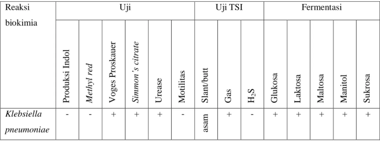 Tabel 3.3 Reaksi biokimia Klebsiella pneumoniae pada uji identifikasi primer (Kumar, 2013)  Reaksi 
