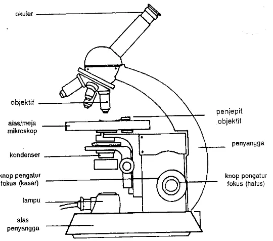 Gambar 7.1. Bagian-bagian Mikroskop Sederhana (Brock, 1974) 