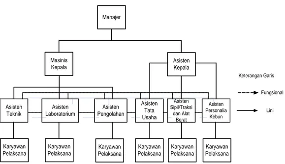 Gambar 2.1. Struktur Organisasi PT. Perkebunan Nusantara III Kebun      Gunung Para 