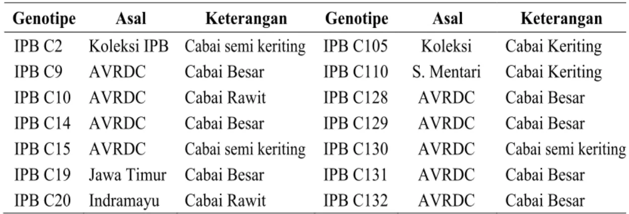Tabel 2. Genotipe Cabai yang Digunakan Sebagai Bahan Penelitian 
