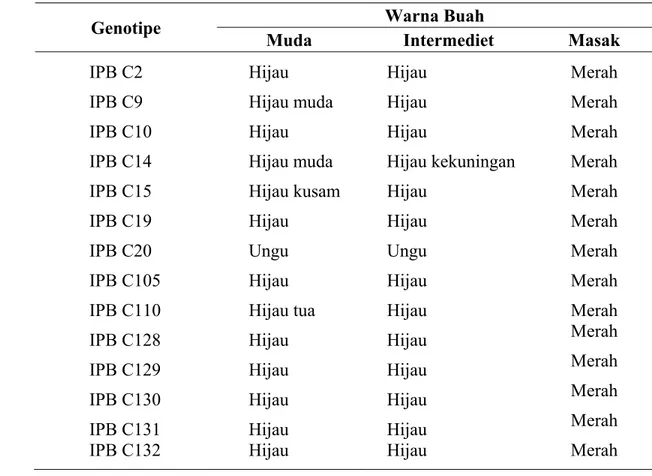 Tabel 5.  Warna Buah Muda, Warna Buah Intermediet dan Warna Buah Matang  Beberapa Genotipe Tanaman Cabai 