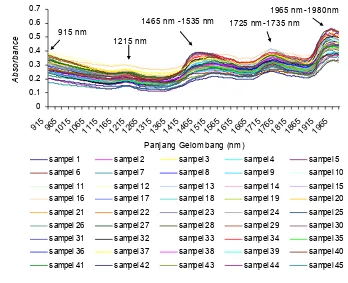 Gambar 11  Grafik absorbsi near infrared                            gelombang 915 sampai 1990 nm setelah  oleh tepung ikan pada panjang pre-treatment data