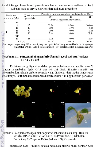 Tabel 8 Pengaruh media asal proembrio terhadap pembentukan kotiledonari kopi    Robusta varietas BP 42 xBP 358 dari inokulum proembrio 