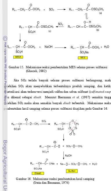 Gambar 15.  Mekanisme reaksi pembentukan MES selama proses sulfonasi  