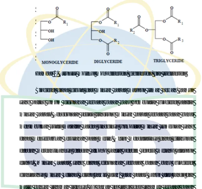 Gambar 2. Struktur molekul monogliserida, digliserida, dan trigliserida 