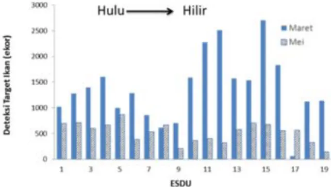 Figure 2. Single echo detection number to fish in Lempuing River, South Sumatera