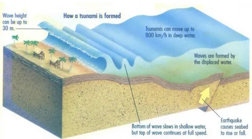 Gambar 2. 1. Mekanisme Terjadinya Tsunami yang Disebabkan oleh Gempa di Dasar  Laut (Rais, 2008)