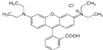 Gambar 1. Struktur molekul rhodamin B 