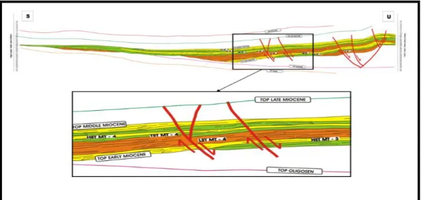 Gambar 6.  Pola refleksi seismik humocky pada LST MT – 4, downlap ke selatan pada HST MT                        – 3 dan subparalel pada TST MT – 3