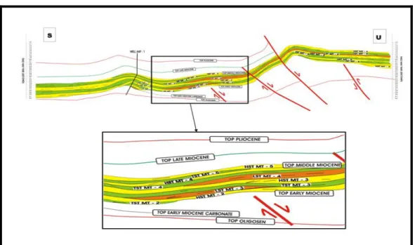 Gambar 5. Pola refleksi seismik downlap ke selatan pada lintasan Sy – 52 – 01. 