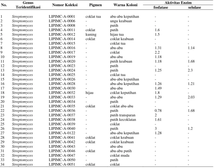 Tabel 1. Hasil identifikasi dan karakterisasi morfologi isolat Aktinomisetes serta potensinya sebagaipelarut fosfat dan seluolitik pada  tanah hutan Bukit Bangkirai Kalimantan Timur