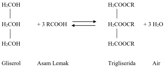 Gambar 2.2. Reaksi Gliserida (Winarno,1992). 
