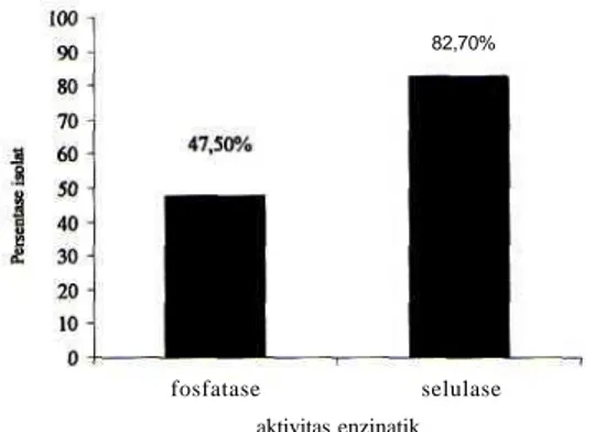 Grafik 1. Persentase isolat Aktinomisetes penghasil selulase dan fosfatase.