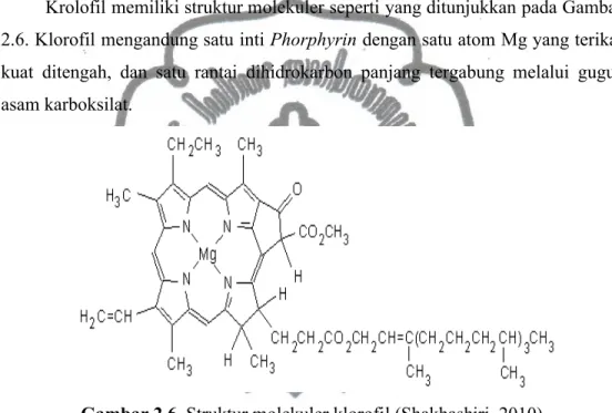 Gambar 2.6. Struktur molekuler klorofil (Shakhashiri, 2010)