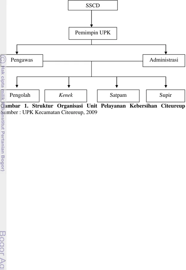 Gambar  1. Struktur Organisasi Unit Pelayanan Kebersihan Citeureup  Sumber : UPK Kecamatan Citeureup, 2009 