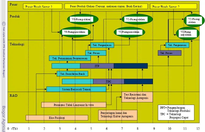 Gambar 10. Road Map Teknologi Produksi Pisang  (Kantor Kementrian  Riset dan Teknologi, 2003) 