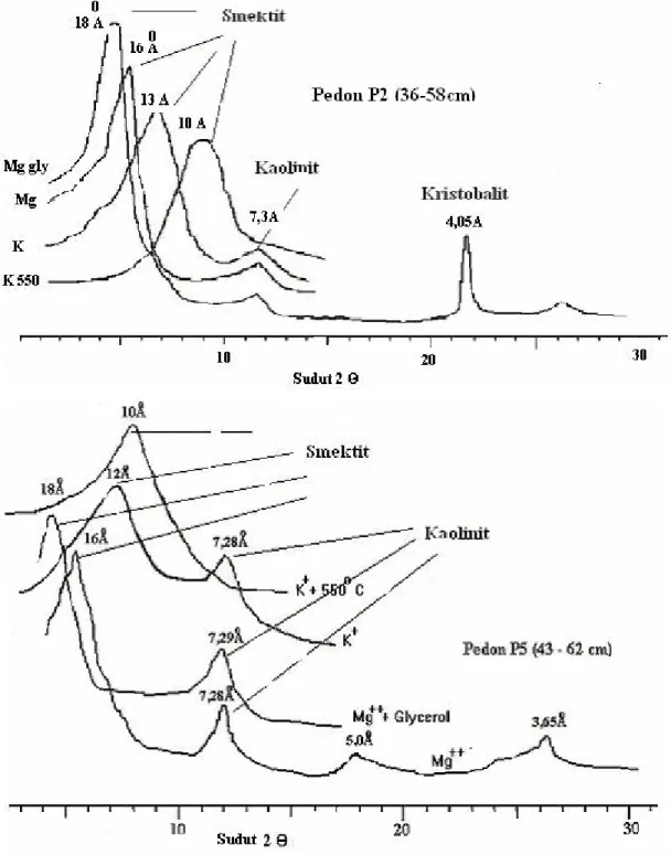 Gambar 1. Difraktogram mineral liat dari  Vertisol pedon P2 (Madiun) dan pedon P5 (Pametikarata).