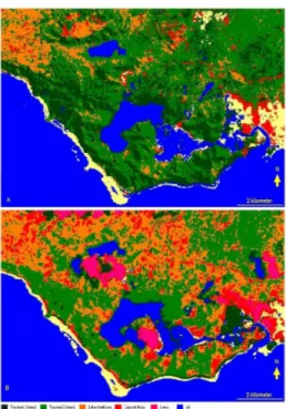 Gambar 2.  Citra satelit perubahan penutupan lahan dalam lima tahun dari 2001 hingga 2005 di Semenanjung Santigi, Sulawesi Tengah setelah diolah dengan metode unsupervised.