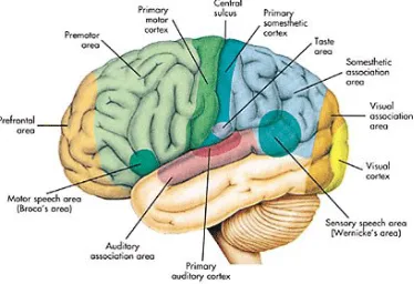 gambar di bawah ini.