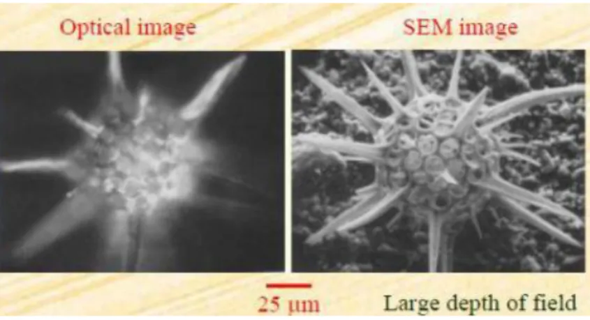 Gambar 2.15 Perbandingan hasil uji SEM  Sumber : https://materialcerdas.wordpress.com 