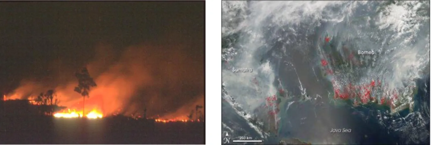 Gambar 4.  Grafik korelasi hubungan antara  kadar abu (%) dengan emisi CO 2