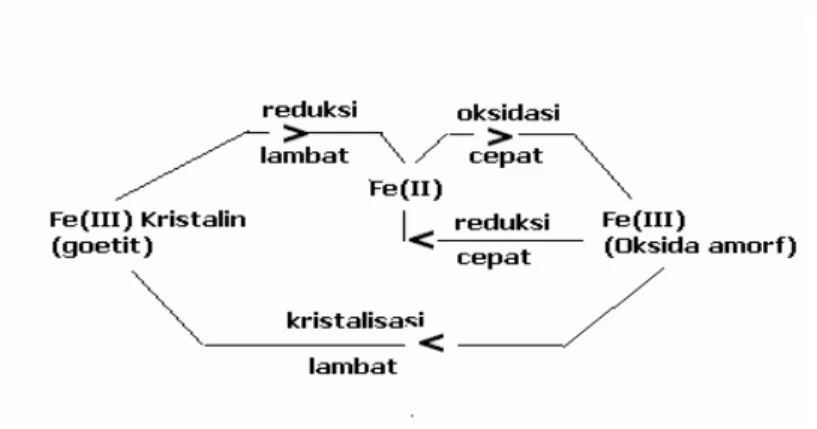 Gambar 3. Mekanisme perubahan besi oksida kristalin 