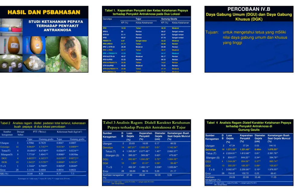 Tabel 1.  Keparahan Penyakit dan Kelas Ketahanan Pepaya terhadap Penyakit Antraknosa pada Dua Lokasi