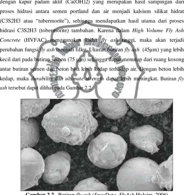 Gambar 2.2.  Butiran fly ash (SpecData_FlyAsh Holcim, 2006) 
